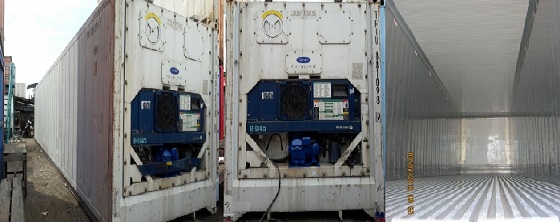 Rental Container Reefer